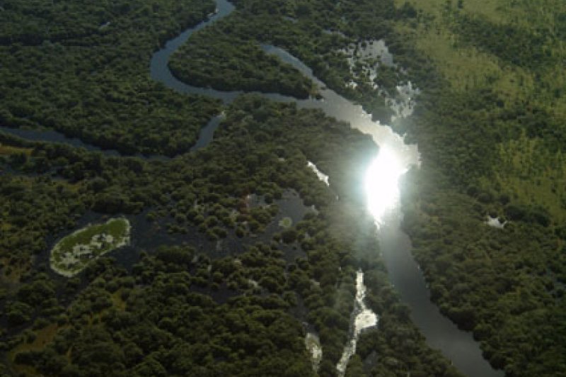 pantanal. (Foto: CC/Flickr.com | Alexandre Kozoubsky)