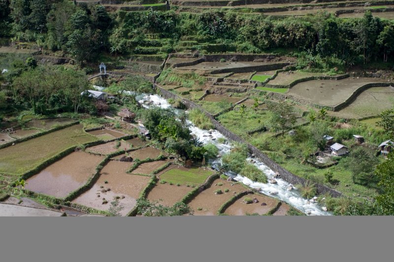 Rice Terraces. (Foto: CC/Flickr.com | kin0be)