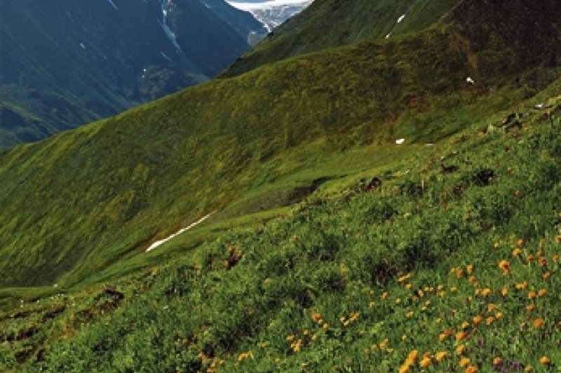 Russia, Altai, mount Belukha. (Foto: CC/Flickr.com | Ksenia Trizna)