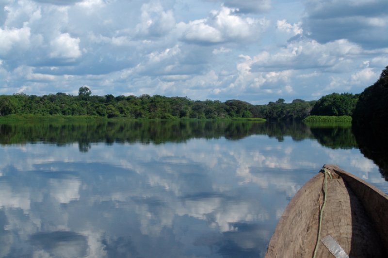 Salonga River in the Salonga National Park. (Foto: CC/Flickr.com | Terese Hart)