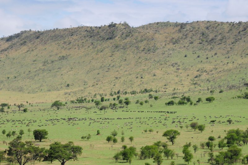 Serengeti Plains. (Foto: CC/Flickr.com | Vince Smith)