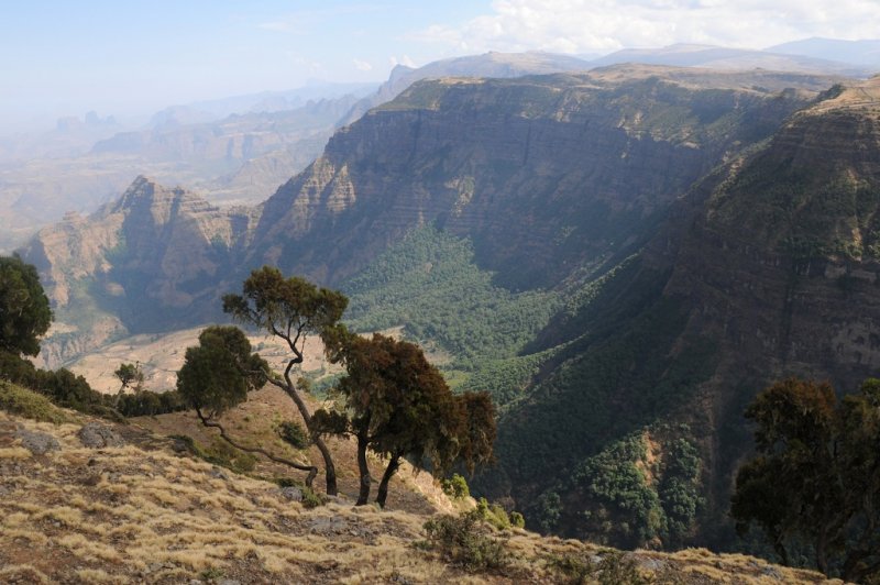 Simien Mountains National Park, Ethiopia. (Foto: CC/Flickr.com | Darren and Sandy Van Soye)