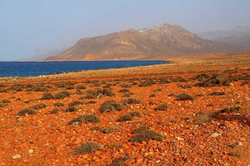 Socotra Island, Yemen. (Foto: CC/Flickr.com | Martin Sojka)