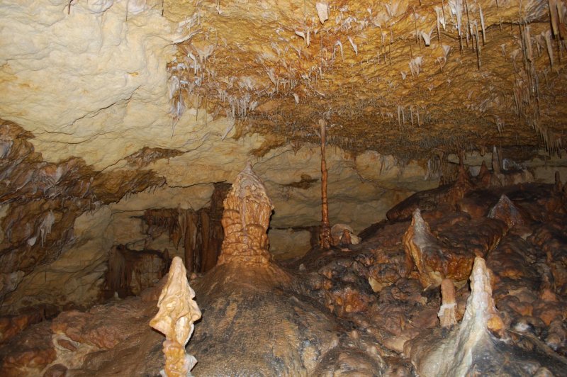 Speleothems - Victoria Fossil Cave, Naracoorte Caves National Park. (Foto: CC/Flickr.com | Alpha)