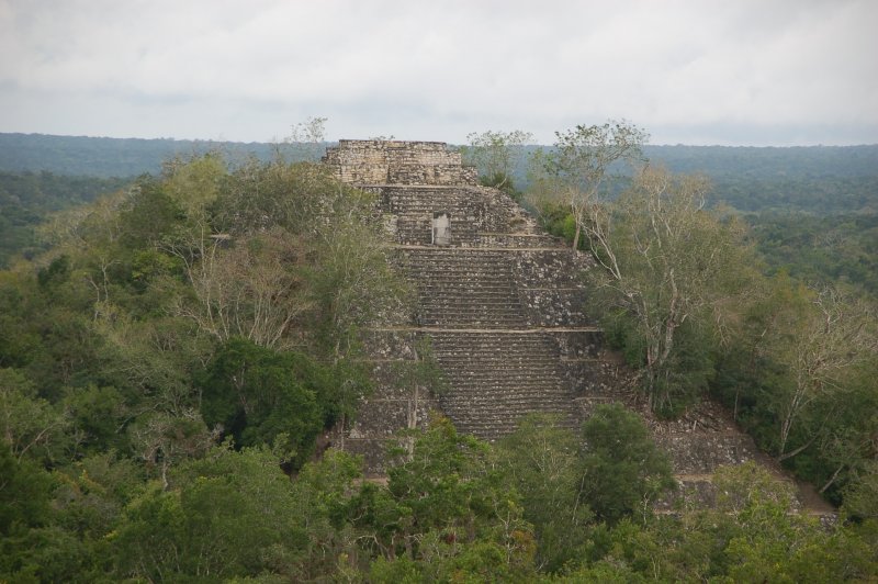 Structure 1 du site de Calakmul. (Foto: CC/Flickr.com | Gautier Poupeau)