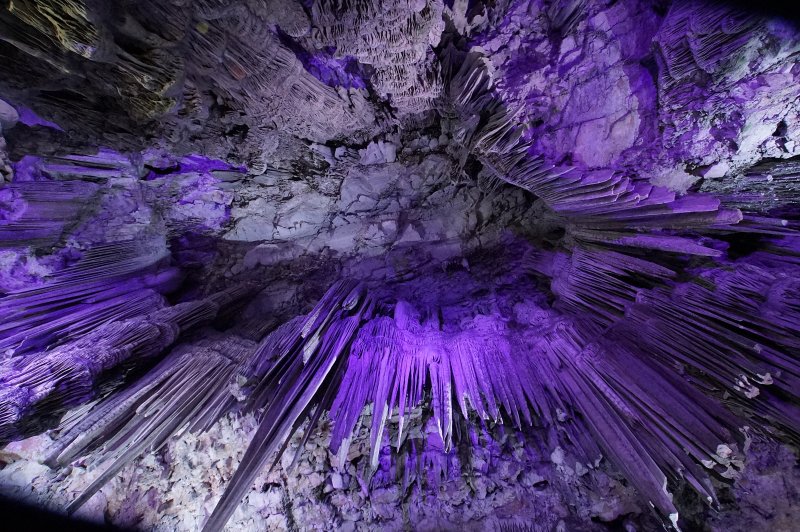 The ceiling in Gorham's Cave, Gibraltar. (Foto: CC/Flickr.com | Kjell Eson)