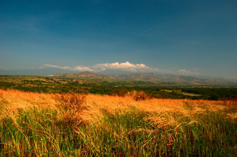The Rwenzori Mountains. (Foto: CC/Flickr.com | flöschen)