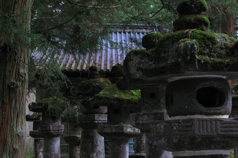 UNESCO World Heritage Shrines and Temples of Nikko . (Foto: CC/Flickr.com | TANAKA Juuyoh ())