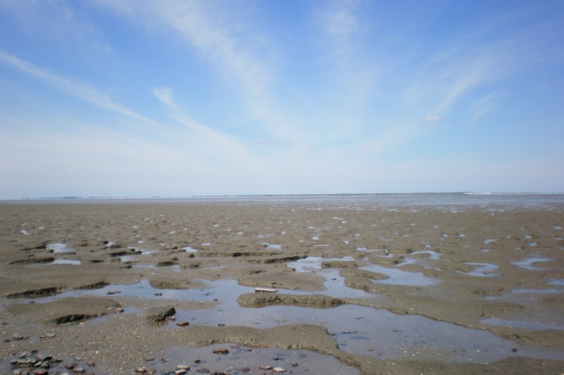Wadden Sea. (Foto: CC/Flickr.com | Noema Pérez)