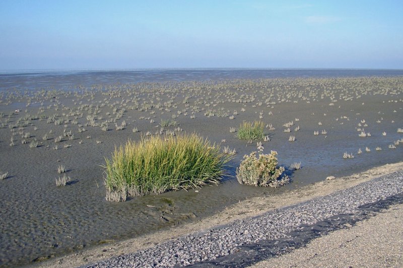 Wadden Sea. (Foto: CC/Flickr.com | Sint Smeding)