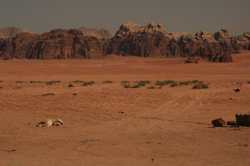 Wadi Rum. (Foto: CC/Flickr.com | Maureen)
