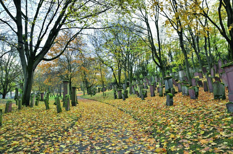 Oude Joodse begraafplaats van Mainz, "nieuwe sectie". (Foto:Ernst, Jürgen | © Generaldirektion Kulturelles Erbe Rheinland-Pfalz | Permanent URL: whc.unesco.org/en/documents/181342)