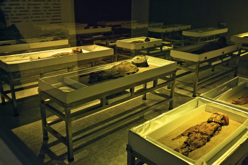 Chinchorro-mummies tentoongesteld in het Archeologisch Museum van San Miguel de Azapa, Arica, Chili. (Foto: Carlos Chow | Copyright: © Regional Program for Protection of the Chinchorro Sites. | Permanent URL: whc.unesco.org/en/documents/181890)