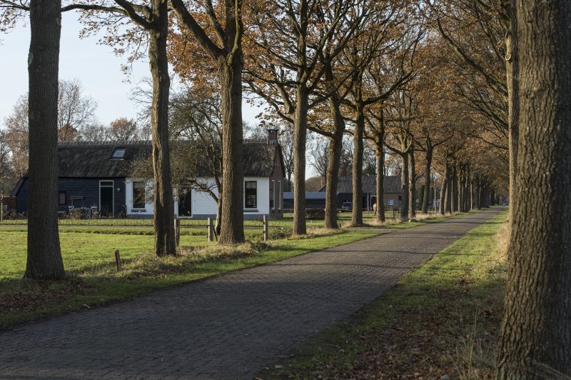 Wilhelminaoord. (Foto: James van Leuven | © Province of Drenthe on behalf of all nomination partners | whc.unesco.org/en/documents/166093)