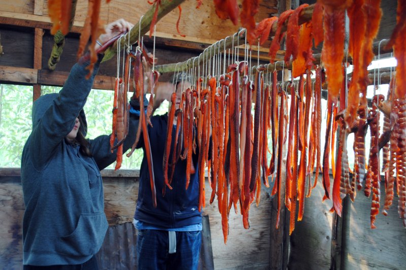 Hanging salmon strips to dry, Moosehide. (Foto: © Tr’ondëk Hwëch’in | https://whc.unesco.org/en/documents/192979)