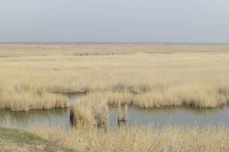 Wetlands bij het Brick Lake-kordon. (Foto: © F. Rakhimov | https://whc.unesco.org/en/documents/200265)
