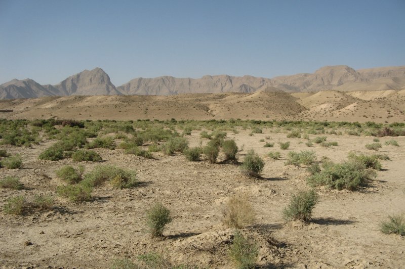 Laaggras semi-savanne in de uitlopers van Hodja-Kaziyon. (Foto: © A. Butorin | https://whc.unesco.org/en/documents/200272)