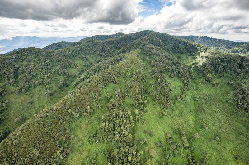 Mount Bigugu (2.950 m) met een mozaïek van dicht- en openbegroeid bos op de flanken en dicht struikgewas op de bergkammen.. (Foto: © Ph. Nyirimihigo | https://whc.unesco.org/en/documents/200677)